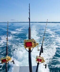 0fcba065a17a7281cf71e5052157a0aa 628612ef 3d25 4081 81eb ecd79ff969d2